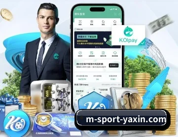 亚新 APP 深度功能
